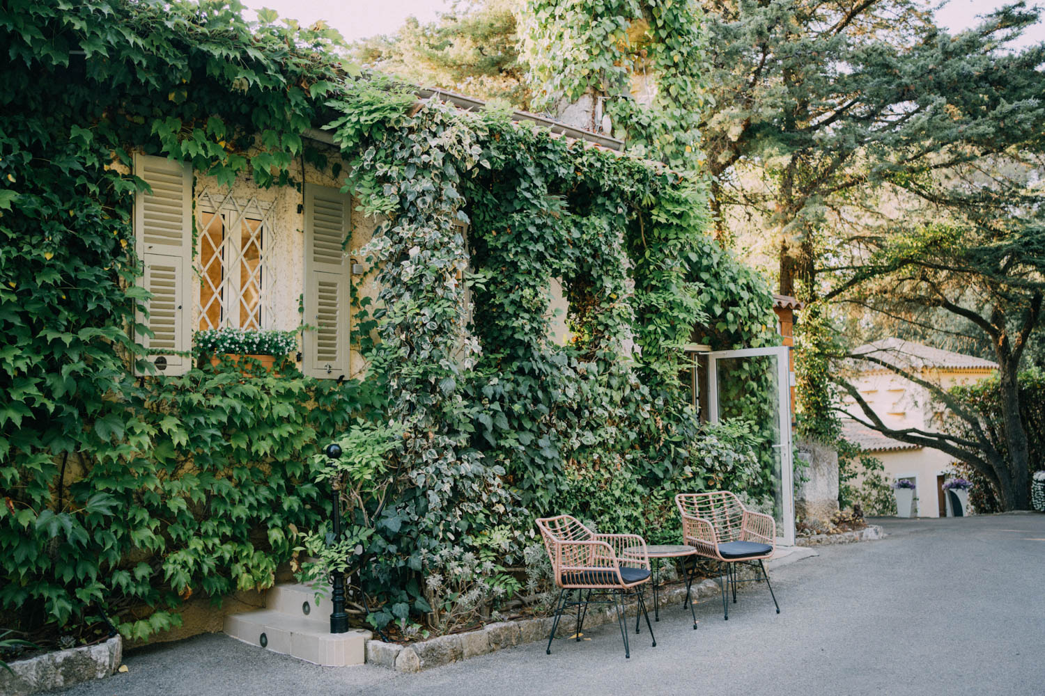 Details of an ivy covered wall with two wicker chairs